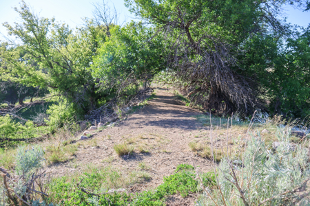 Golden Triangle Farm & Ranch | 2,278 Acres - image 21