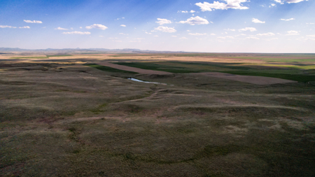 Golden Triangle Farm & Ranch | 2,278 Acres - image 46