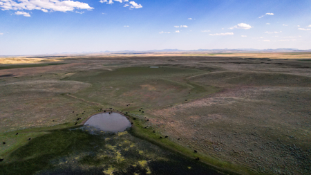 Golden Triangle Farm & Ranch | 2,278 Acres - image 36