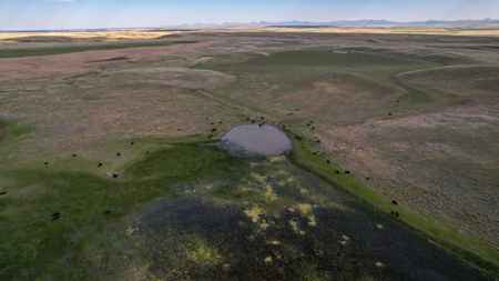 Golden Triangle Farm & Ranch | 2,278 Acres - image 37
