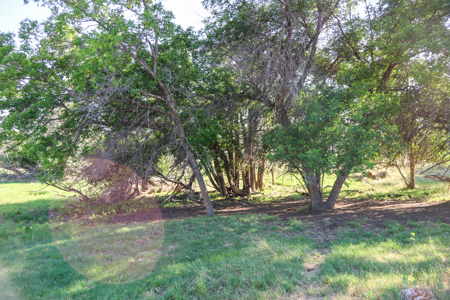 Golden Triangle Farm & Ranch | 2,278 Acres - image 28