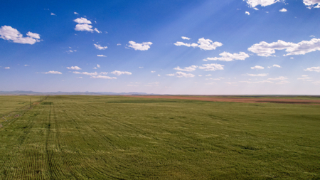 Golden Triangle Farm & Ranch | 2,278 Acres - image 45
