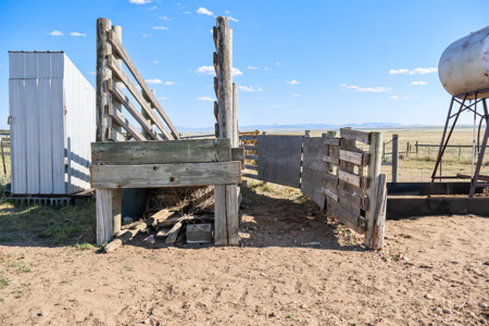 Golden Triangle Farm & Ranch | 2,278 Acres - image 11