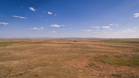 Golden Triangle Farm & Ranch | 2,278 Acres - image 47
