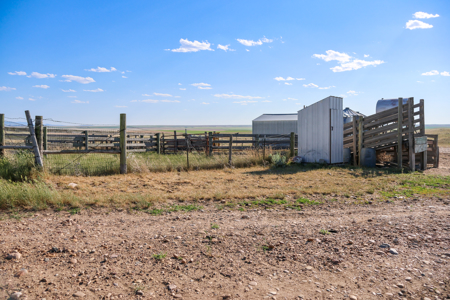 Golden Triangle Farm & Ranch | 2,278 Acres - image 12