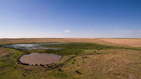Golden Triangle Farm & Ranch | 2,278 Acres - image 3