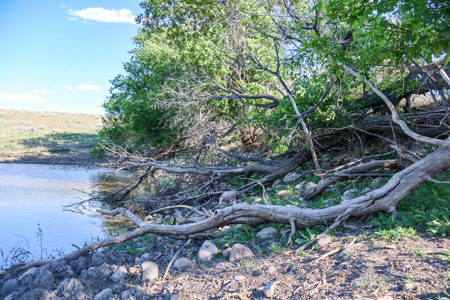 Golden Triangle Farm & Ranch | 2,278 Acres - image 27