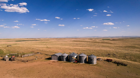 Golden Triangle Farm & Ranch | 2,278 Acres - image 2