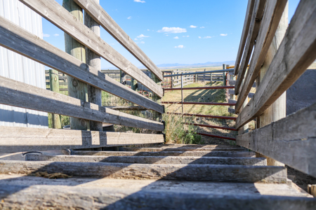 Golden Triangle Farm & Ranch | 2,278 Acres - image 19