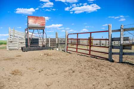 Golden Triangle Farm & Ranch | 2,278 Acres - image 9
