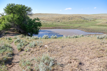 Golden Triangle Farm & Ranch | 2,278 Acres - image 20