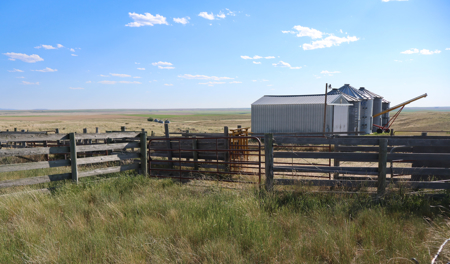 Golden Triangle Farm & Ranch | 2,278 Acres - image 15