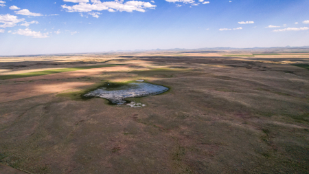 Golden Triangle Farm & Ranch | 2,278 Acres - image 35