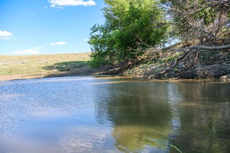 Golden Triangle Farm & Ranch | 2,278 Acres - image 5