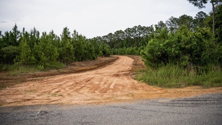 Mississippi Hunting Land - Easy 88 in Magnolia/Osyka - image 19