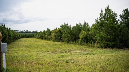 Mississippi Hunting Land - Easy 88 in Magnolia/Osyka - image 33