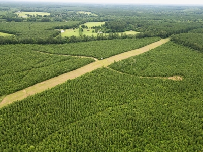 Mississippi Hunting Land - Easy 88 in Magnolia/Osyka - image 10