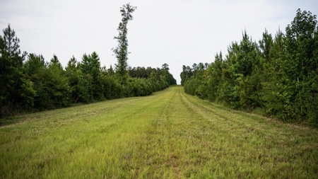 Mississippi Hunting Land - Easy 88 in Magnolia/Osyka - image 30