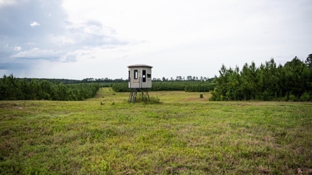 Mississippi Hunting Land - Easy 88 in Magnolia/Osyka - image 1