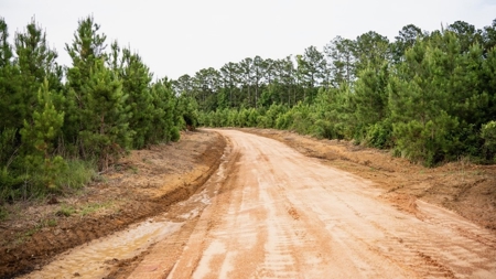 Mississippi Hunting Land - Easy 88 in Magnolia/Osyka - image 17