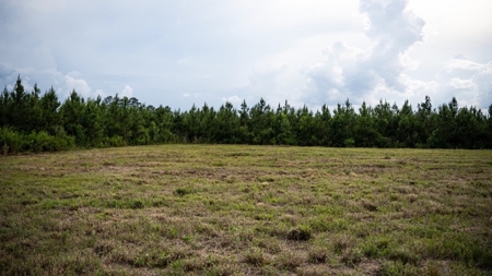 Mississippi Hunting Land - Easy 88 in Magnolia/Osyka - image 13