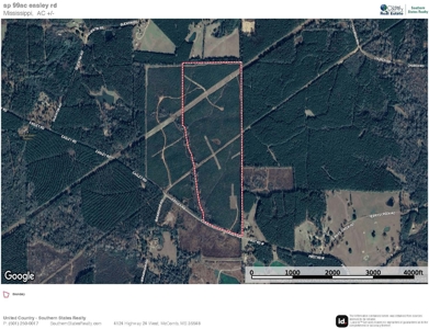Mississippi Hunting Land - Easy 88 in Magnolia/Osyka - image 50