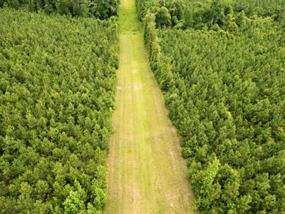 Mississippi Hunting Land - Easy 88 in Magnolia/Osyka - image 3