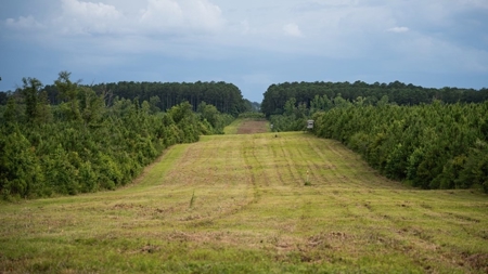 Mississippi Hunting Land - Easy 88 in Magnolia/Osyka - image 38