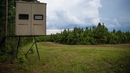 Mississippi Hunting Land - Easy 88 in Magnolia/Osyka - image 43