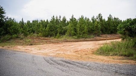 Mississippi Hunting Land - Easy 88 in Magnolia/Osyka - image 18
