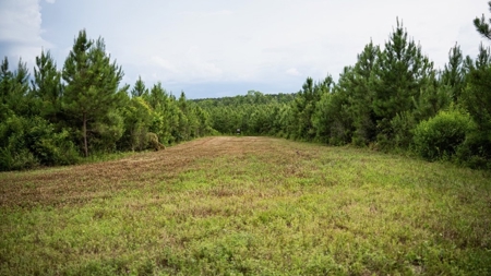 Mississippi Hunting Land - Easy 88 in Magnolia/Osyka - image 44