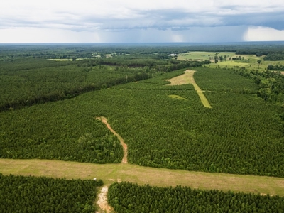 Mississippi Hunting Land - Easy 88 in Magnolia/Osyka - image 9
