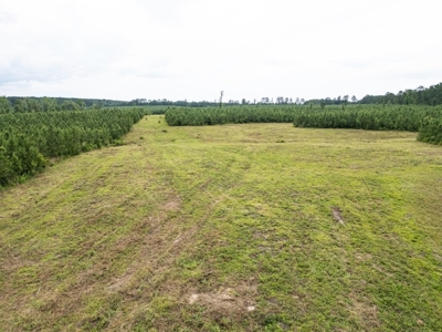 Mississippi Hunting Land - Easy 88 in Magnolia/Osyka - image 11