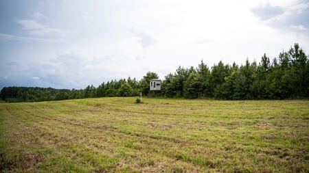 Mississippi Hunting Land - Easy 88 in Magnolia/Osyka - image 39