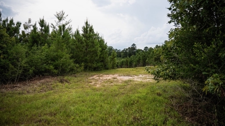 Mississippi Hunting Land - Easy 88 in Magnolia/Osyka - image 42