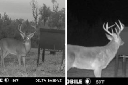 Mississippi Hunting Land - Easy 88 in Magnolia/Osyka - image 47