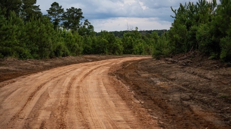 Mississippi Hunting Land - Easy 88 in Magnolia/Osyka - image 21