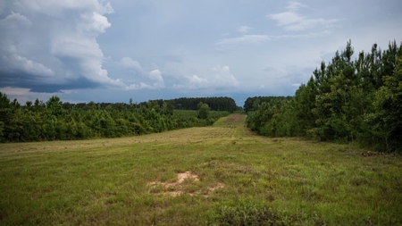 Mississippi Hunting Land - Easy 88 in Magnolia/Osyka - image 41