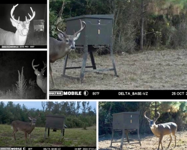 Mississippi Hunting Land - Easy 88 in Magnolia/Osyka - image 46