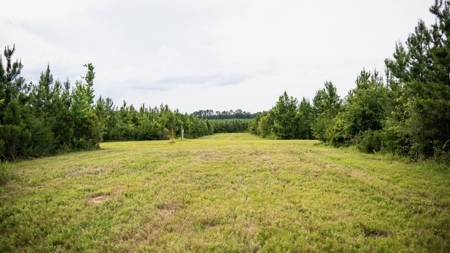 Mississippi Hunting Land - Easy 88 in Magnolia/Osyka - image 29
