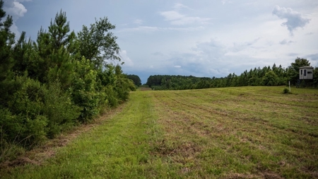Mississippi Hunting Land - Easy 88 in Magnolia/Osyka - image 40