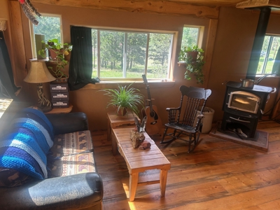 Rustic Cabin Retreat for Sale in Westcliffe, Colorado | Mtn Views - image 3