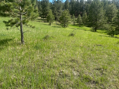 Rustic Cabin Retreat for Sale in Westcliffe, Colorado | Mtn Views - image 12