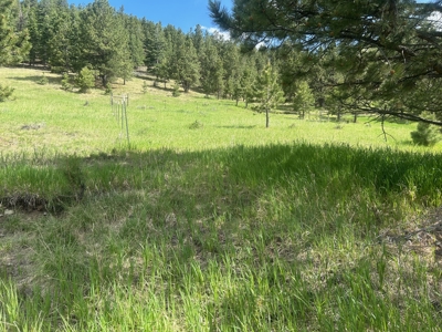 Rustic Cabin Retreat for Sale in Westcliffe, Colorado | Mtn Views - image 9