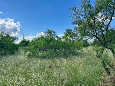 526 Beacon Cir The Hideout Golf Club & Resort Lake Brownwood TX - image 5