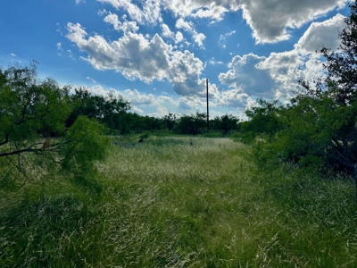 526 Beacon Cir The Hideout Golf Club & Resort Lake Brownwood TX - image 7