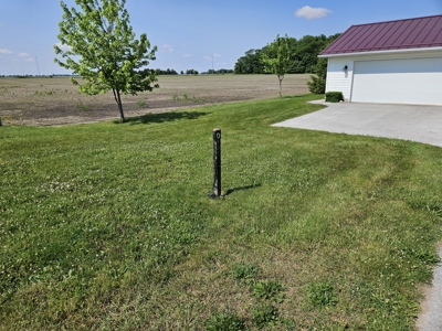 Wonder Trust Auction- July 14th at 5:30pm - image 3