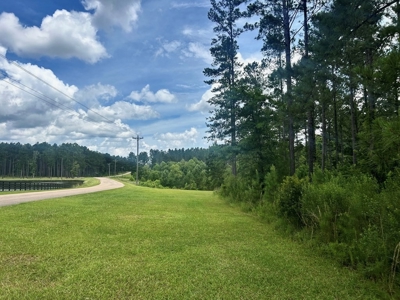 The Big Woods Neighborhood in Hattiesburg MS - image 10