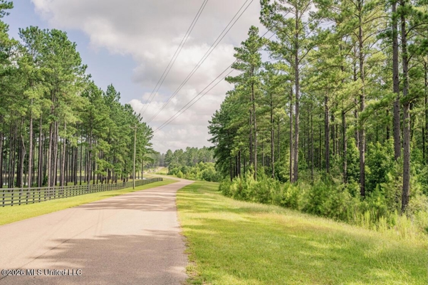 Big Woods Neighborhood Land for Sale Hattiesburg MS