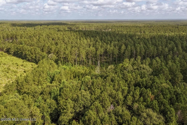 Big Woods Neighborhood Land for Sale Hattiesburg MS